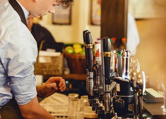 Szálloda The Wyatt 3*